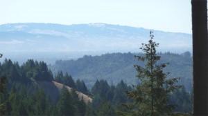Russian River Valley views
