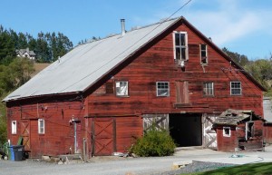 Sonoma County Barn