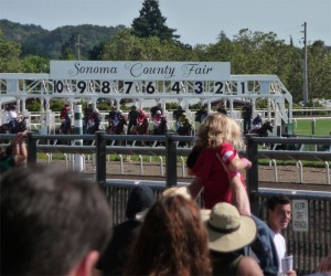 Sonoma County Fair Horse Racing